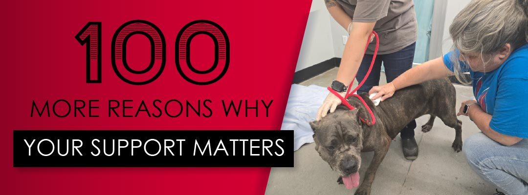 9f85ea06 82d8 8692 9e0c fb97218e2f1c