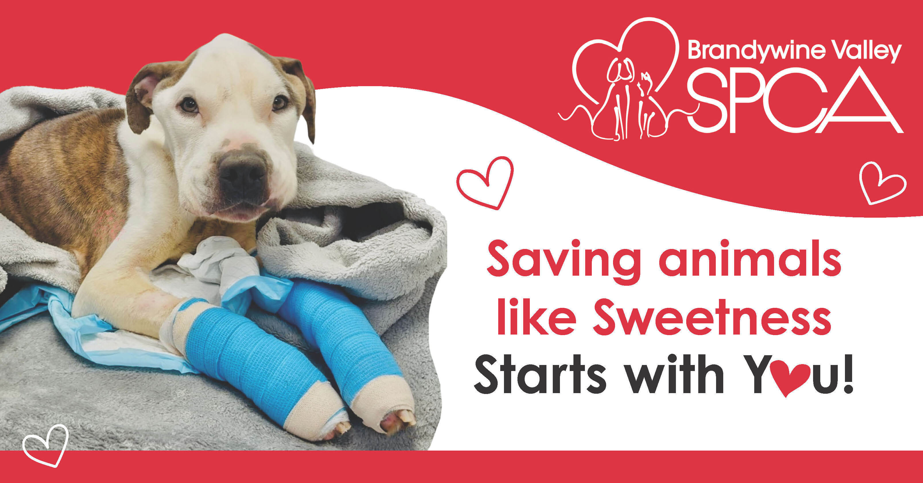 Brandywine PC 2509 B v3 Page 1