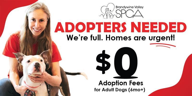 DC Adopters Needed FB Event