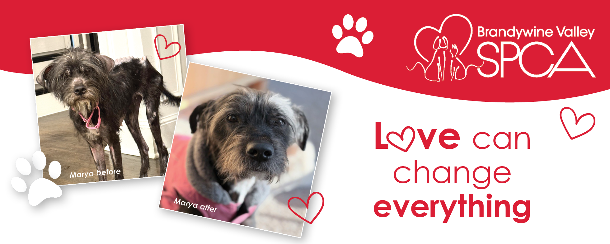 FEB TEXT HEADERGRAPHIC FEB