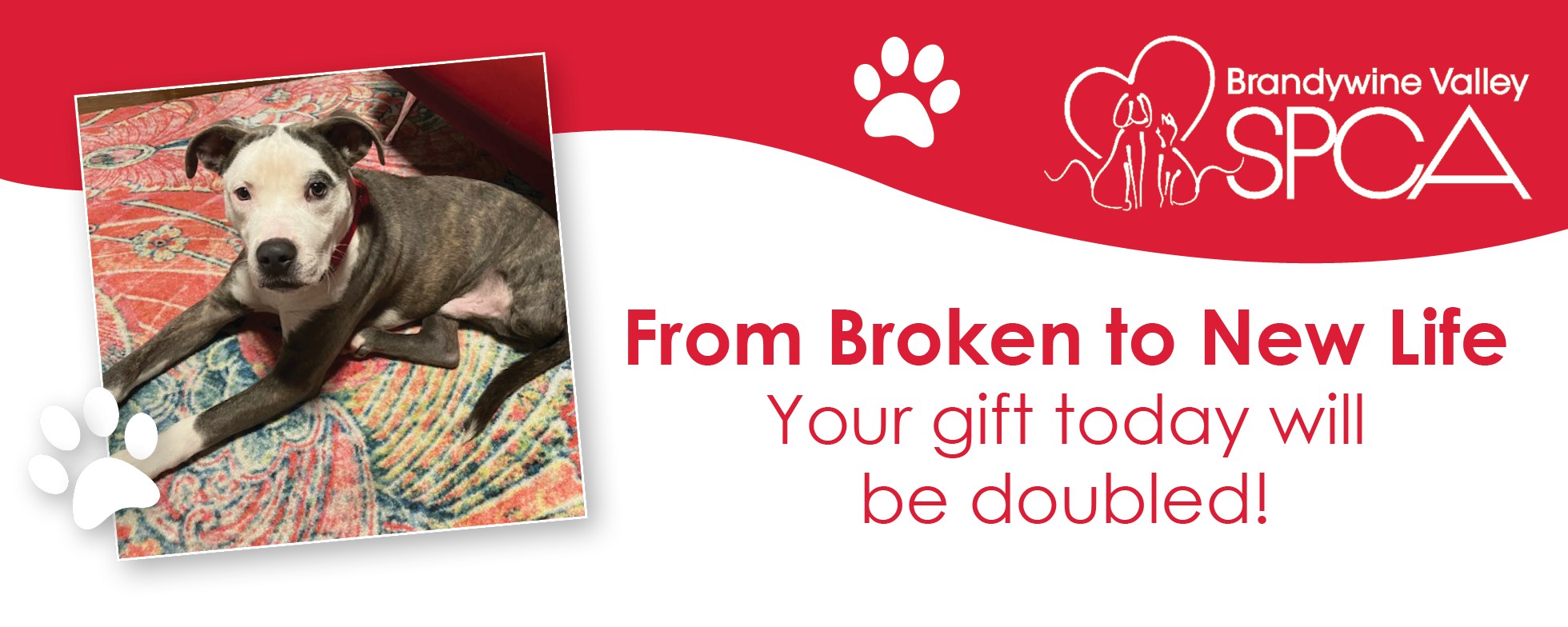 MARCH DONATION FORM HEADERGRAPHIC MARC Hv3