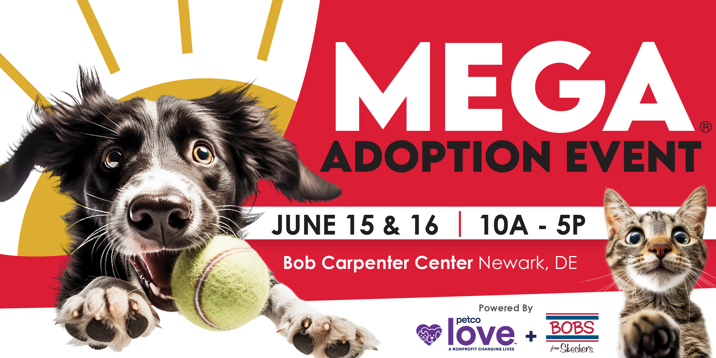 Brandywine Valley SPCA Cleo