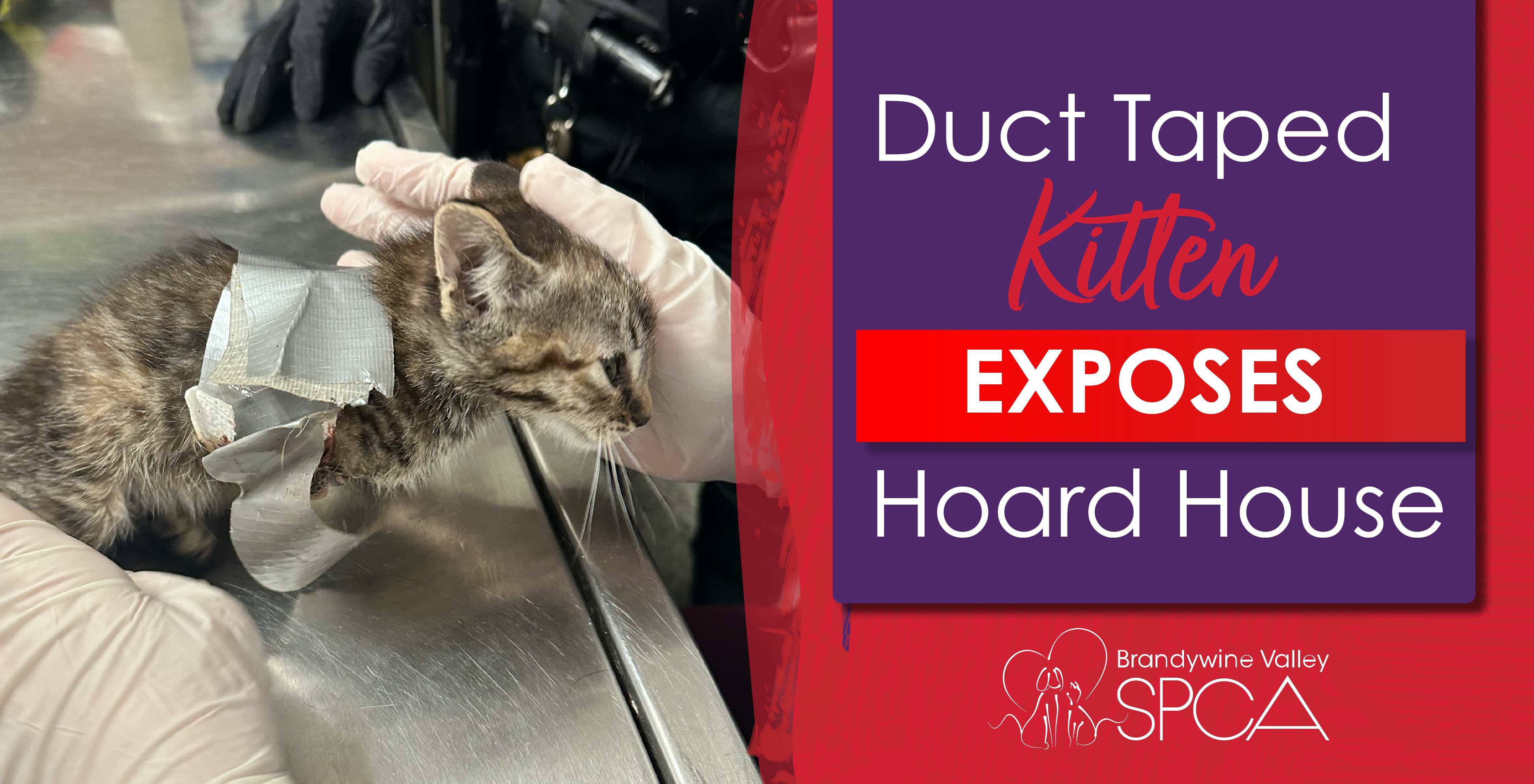 Brandywine Valley SPCA How much does spay & neuter cost pet owners?