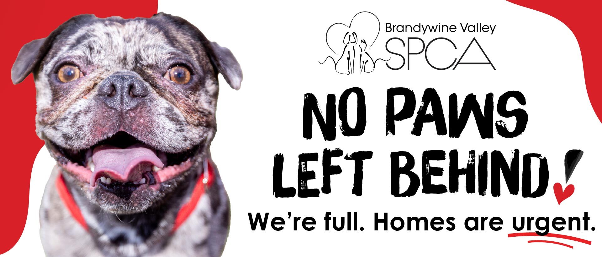 Ce05a416 3a17 bd19 90d6 bccc97fa6e0a