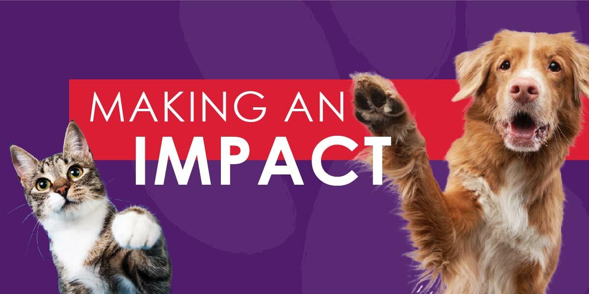 Brandywine Valley SPCA Freewill End Of Year Giving