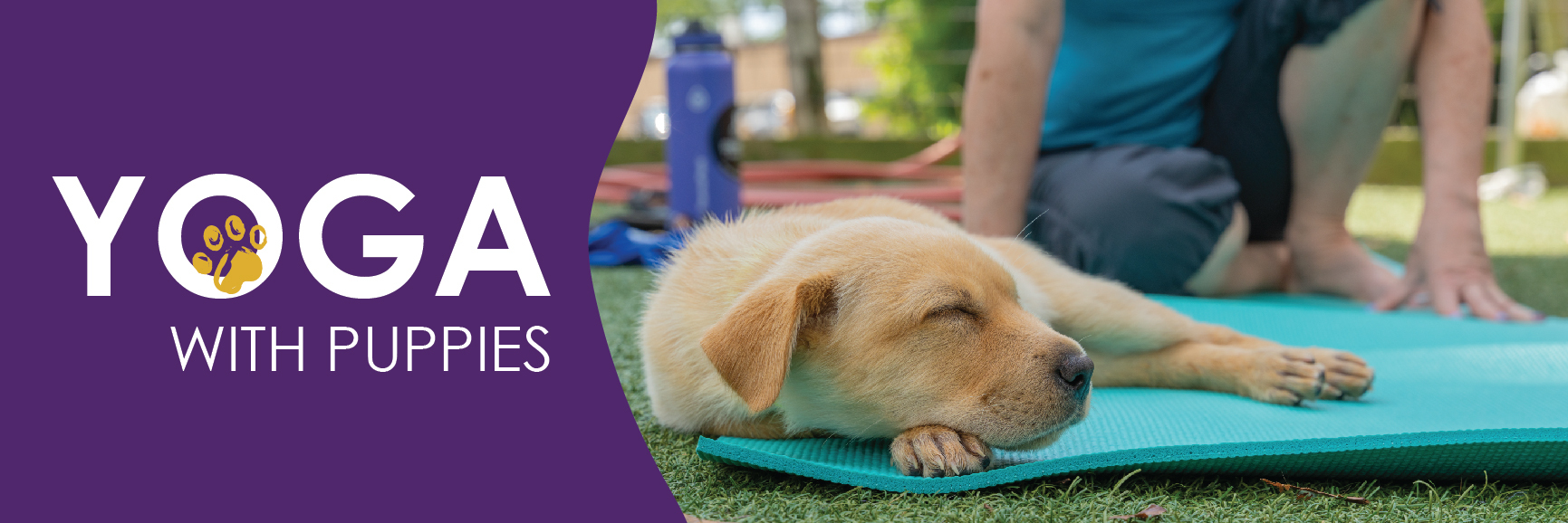 Yoga Pups 2