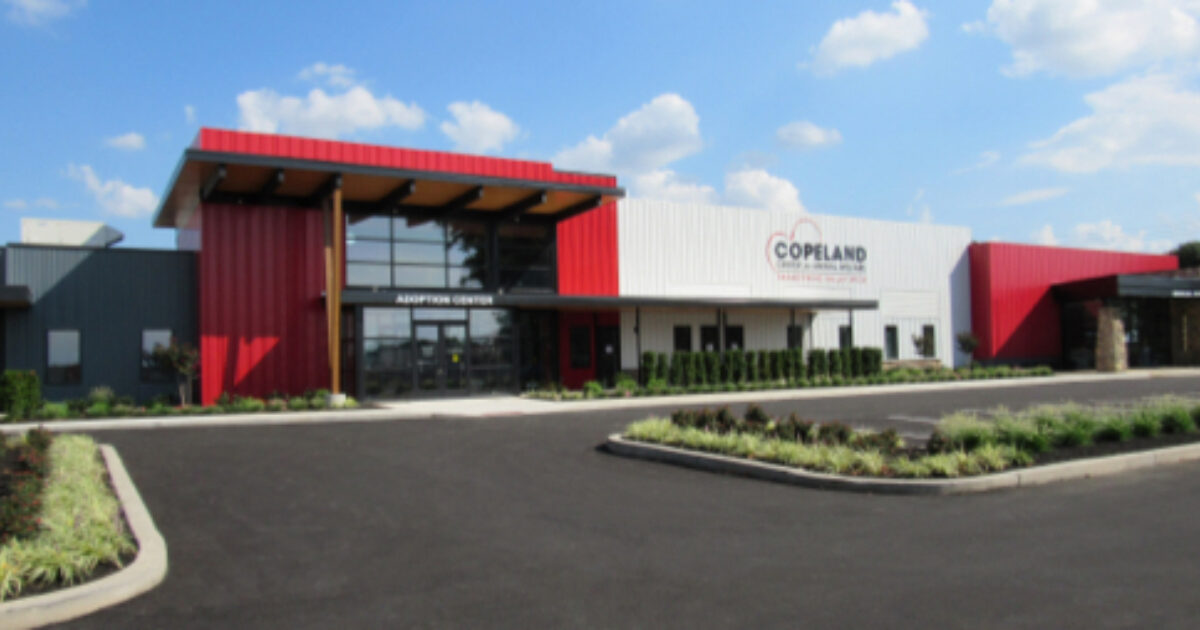 Brandywine Valley SPCA Contact Us