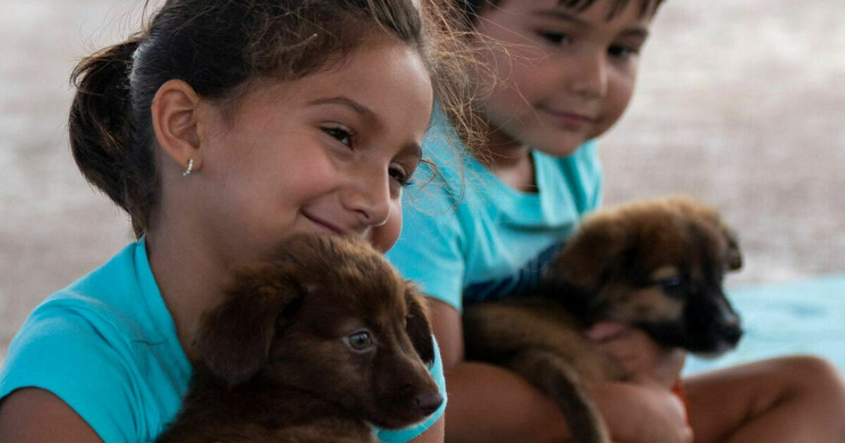 Brandywine Valley SPCA Donate