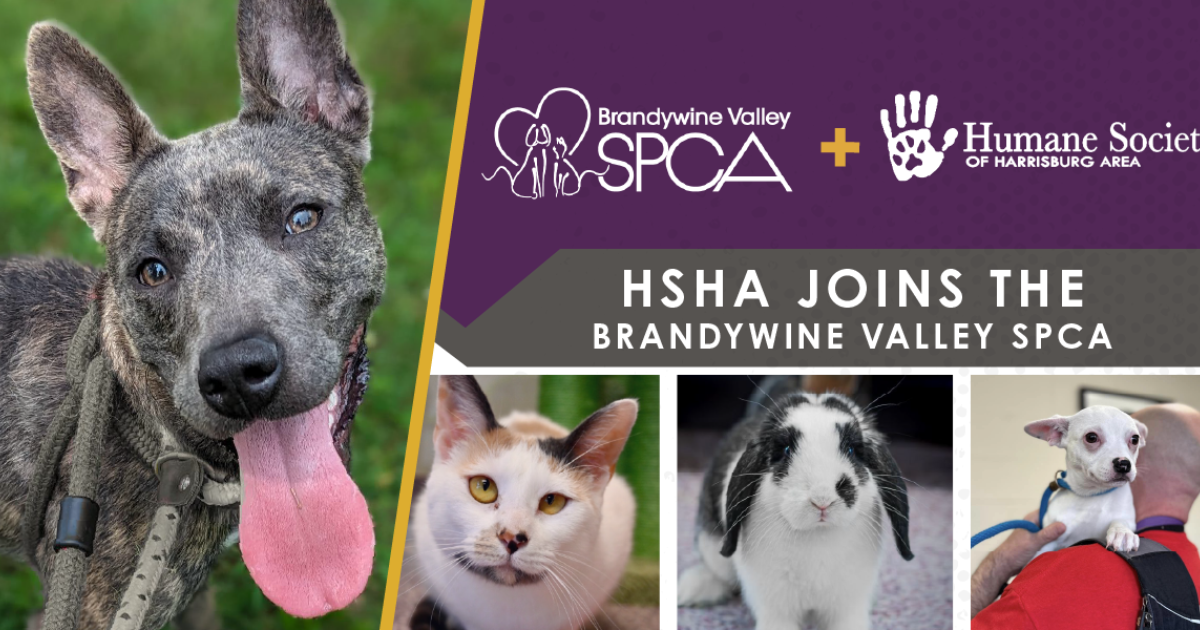 Brandywine Valley SPCA HSHA joins the Brandywine Valley SPCA