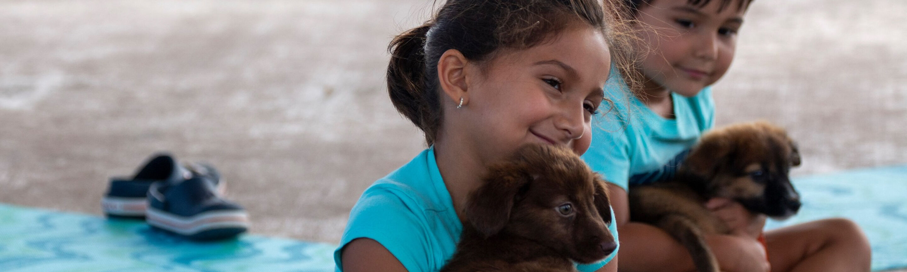 Brandywine Valley SPCA Donate