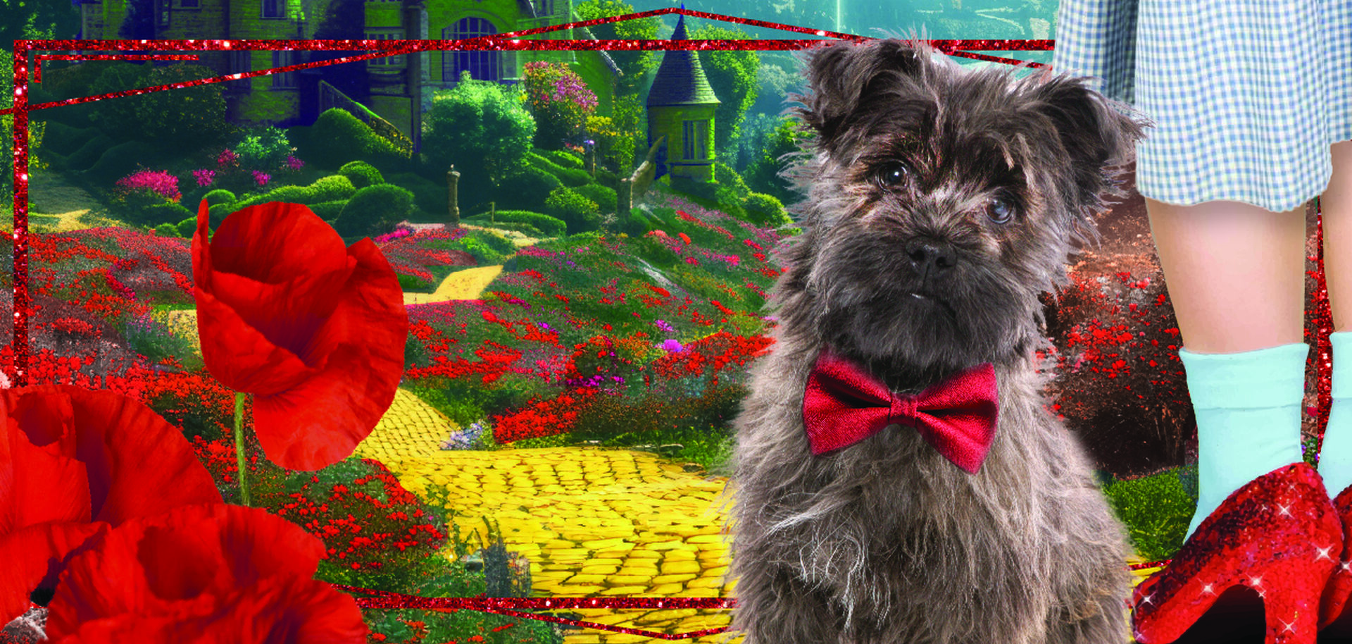 Brandywine Valley SPCA Gala