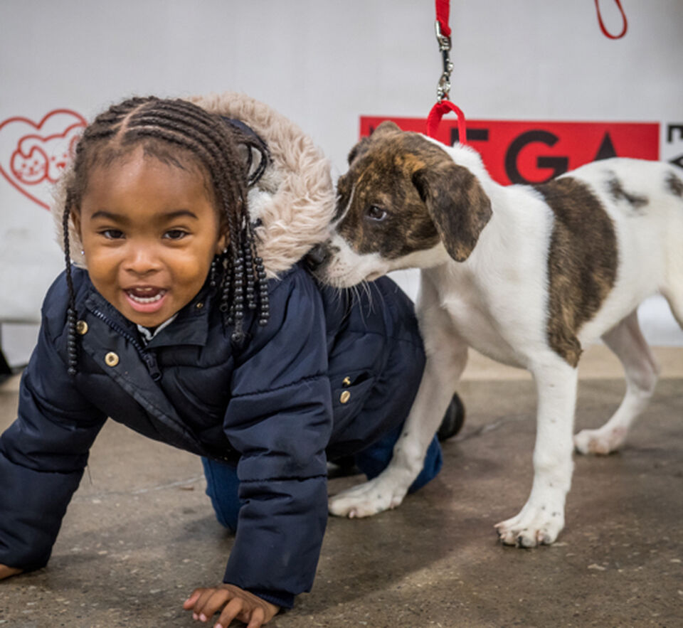 Brandywine Valley SPCA Our Impact