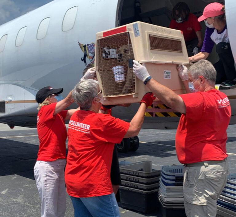 Brandywine Valley SPCA Second Chance Program