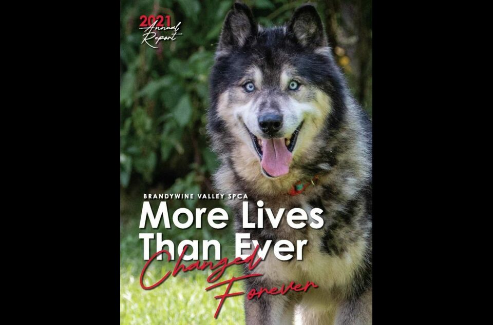 Brandywine Valley SPCA Brandywine Valley SPCA