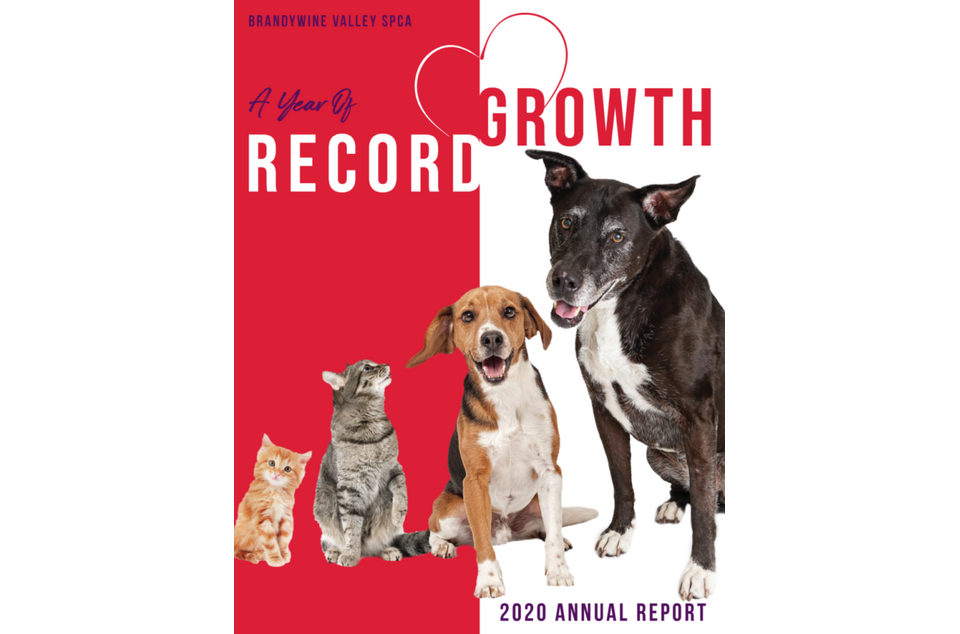 Brandywine Valley SPCA Brandywine Valley SPCA