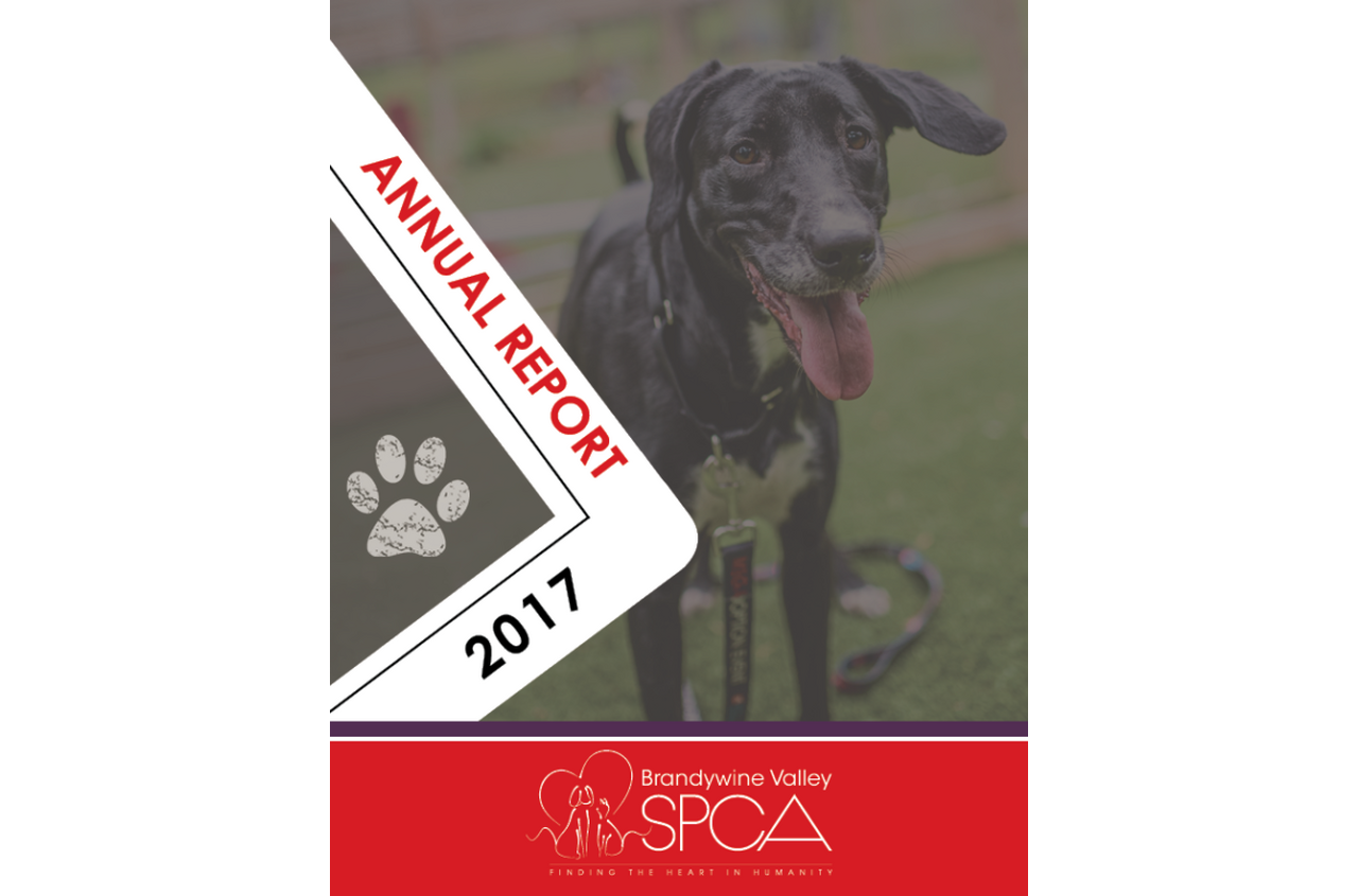 Brandywine Valley SPCA Brandywine Valley SPCA