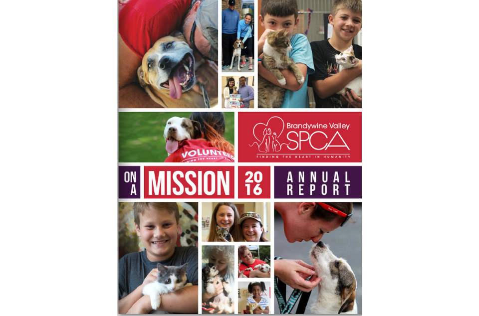 Brandywine Valley SPCA Brandywine Valley SPCA
