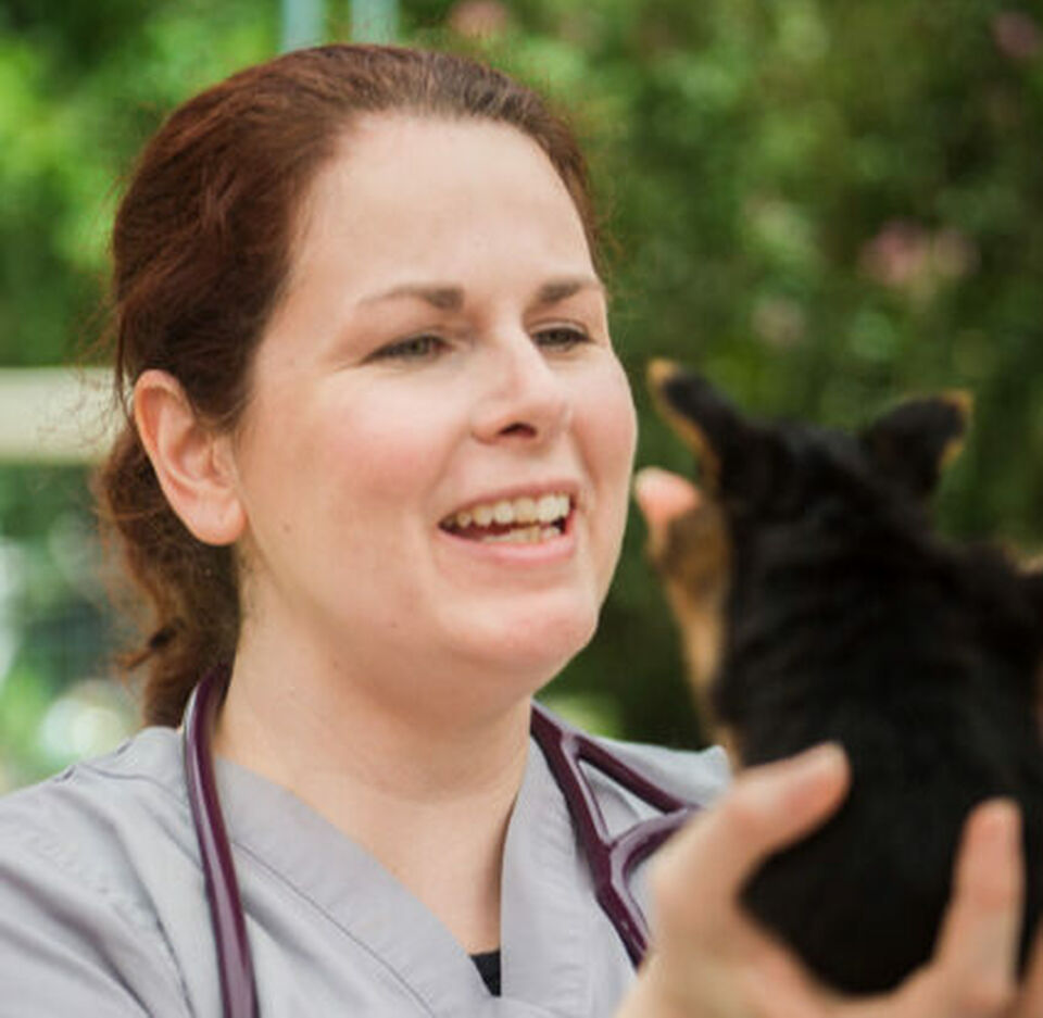 Brandywine Valley SPCA Tangi wellness clinic