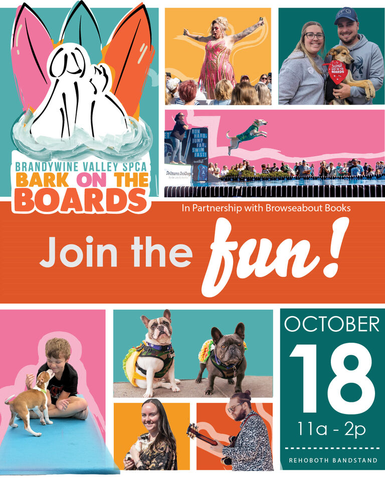 Brandywine Valley SPCA | Brandywine Valley SPCA