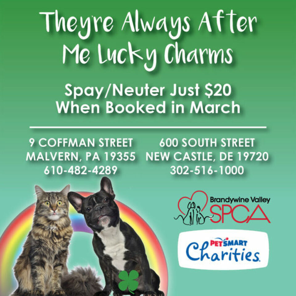 Brandywine Valley SPCA Brandywine Valley SPCA offers 20…