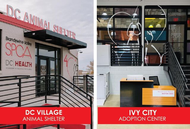 Dc Humane Brandywine Valley SPCA | BVSPCA DC Animal Control & Services