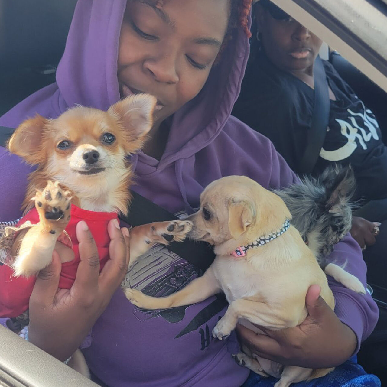 Brandywine Valley SPCA Small Animals