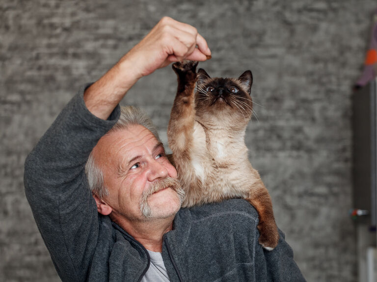 Brandywine Valley SPCA Donate