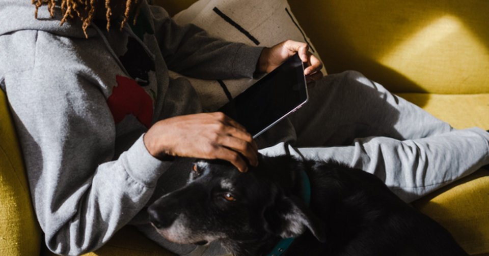 Brandywine Valley SPCA Why your dog's emotional and physical health…