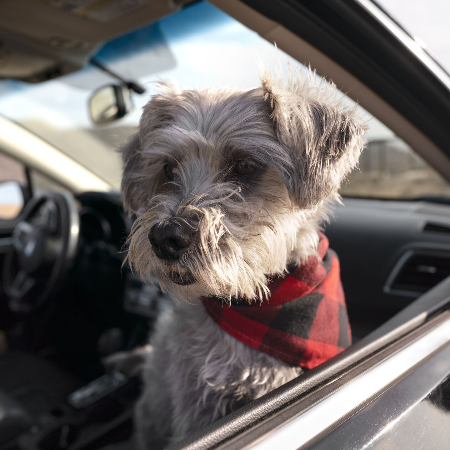 Brandywine Valley SPCA Brandywine Valley SPCA