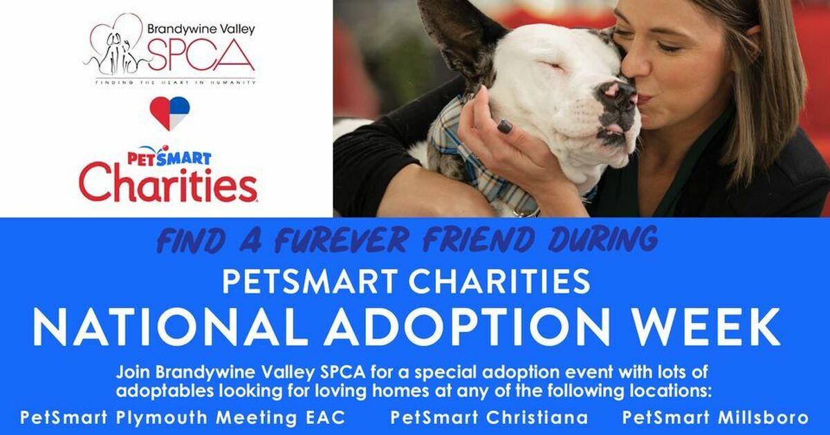 Brandywine Valley SPCA | Brandywine Valley SPCA