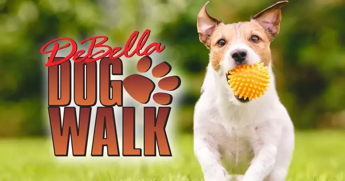 Brandywine Valley SPCA Brandywine Valley SPCA