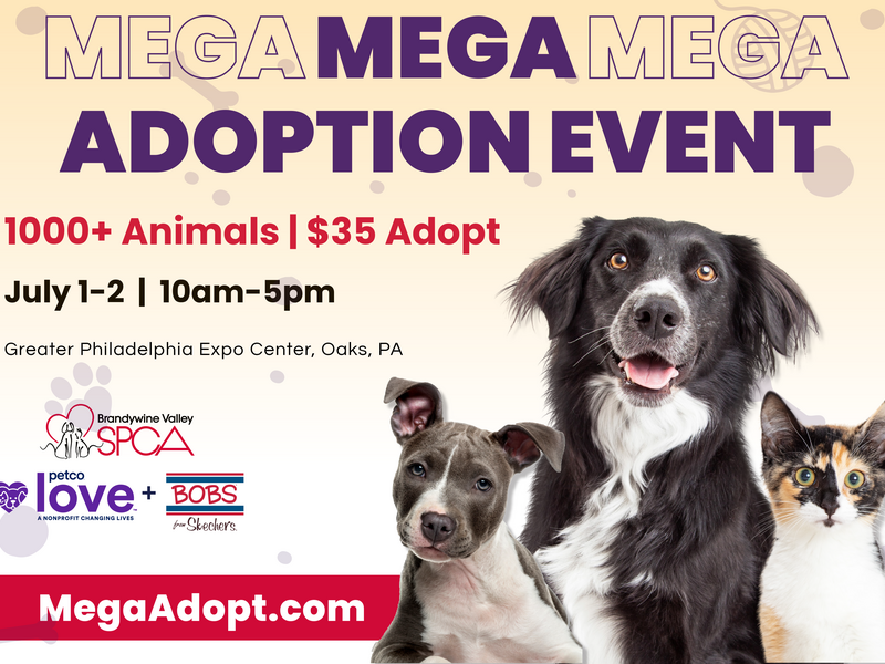 Brandywine Valley SPCA Adoption Info