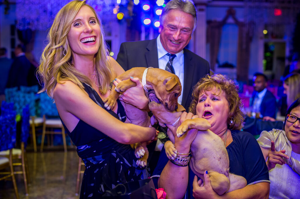 Brandywine Valley SPCA Gala