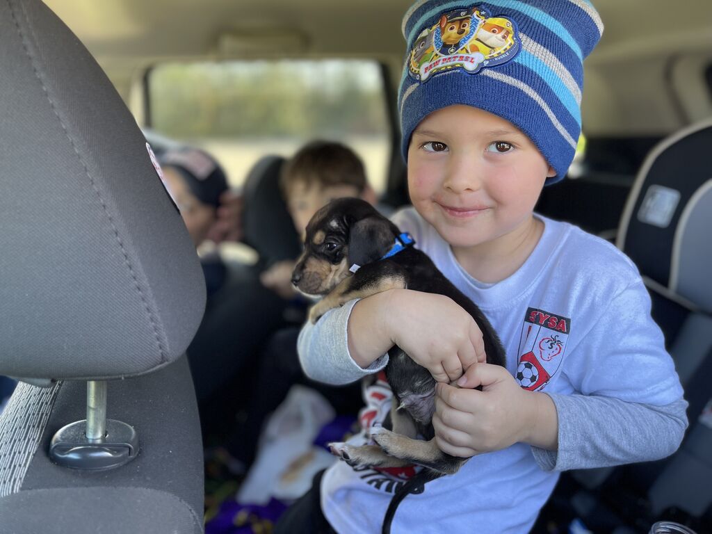 Brandywine Valley SPCA Brandywine Valley SPCA