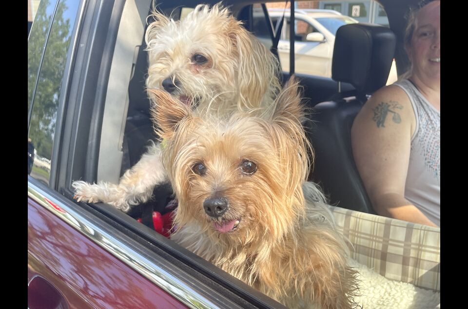 Brandywine Valley SPCA News, Events & Resources