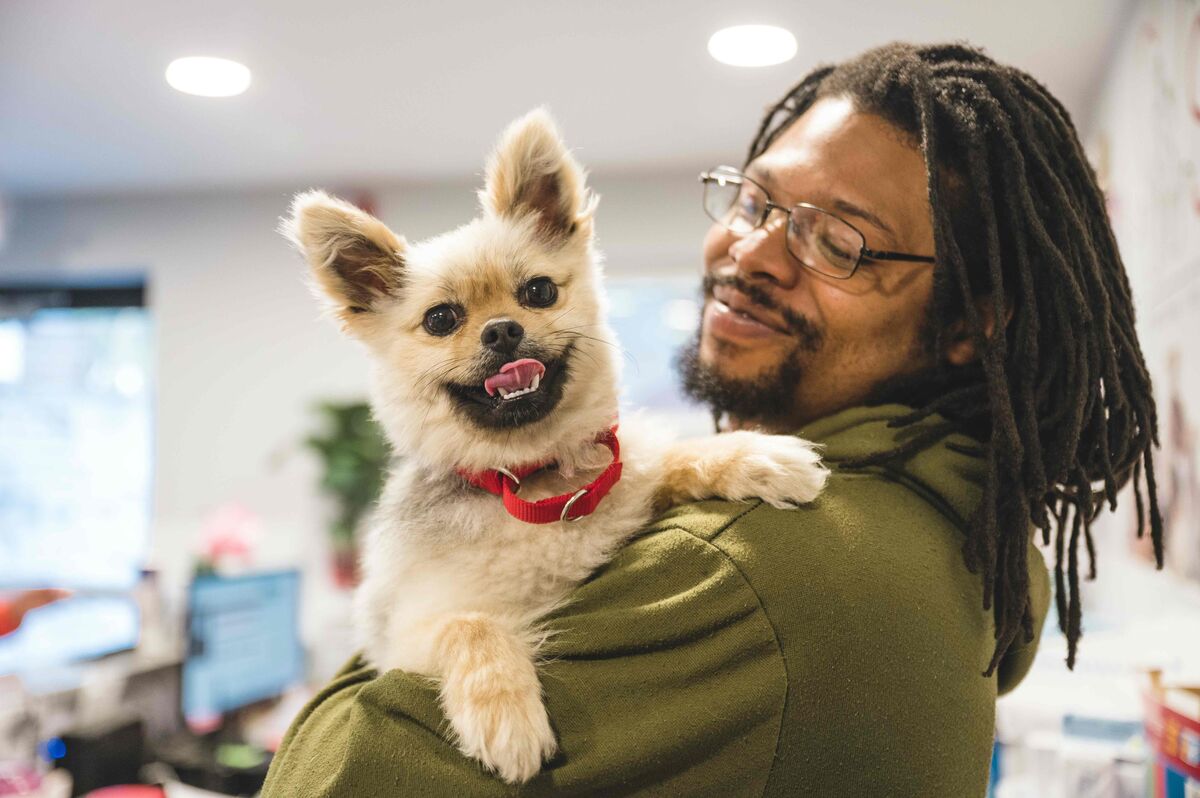 Brandywine Valley SPCA Calendar