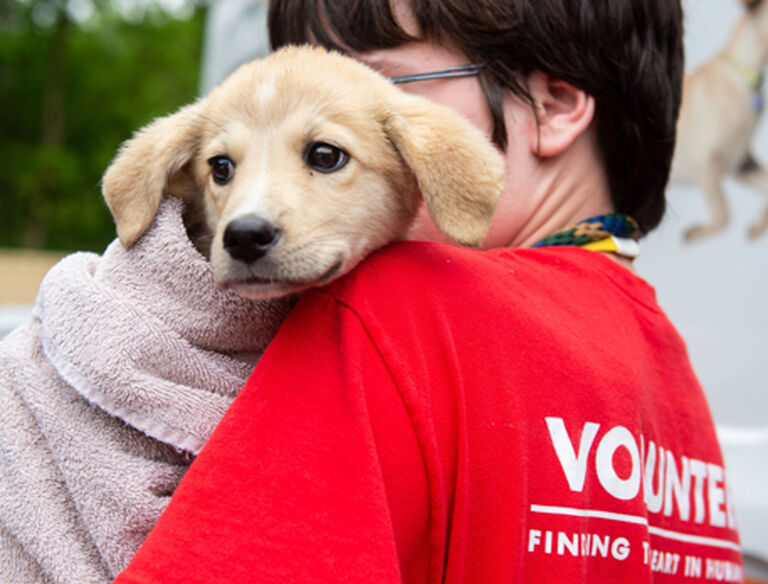 brandywine-valley-spca-volunteer