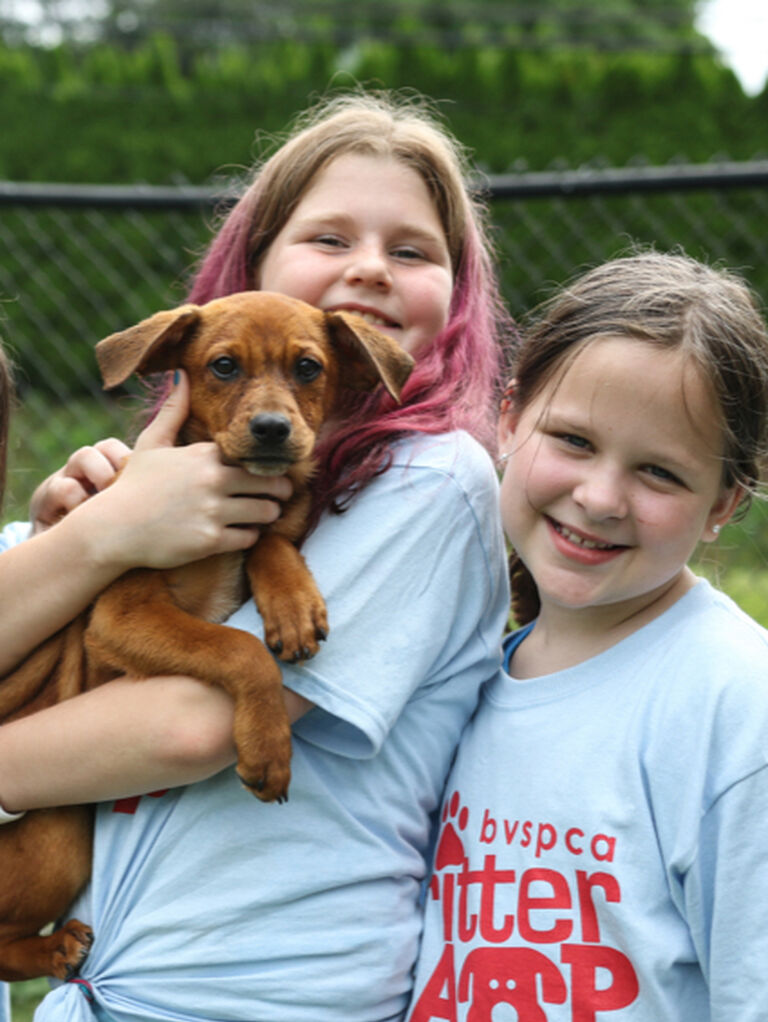 Brandywine Valley SPCA For Kids